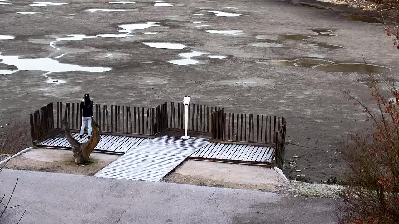 Webcam Ribnik Vrbje – Žalec