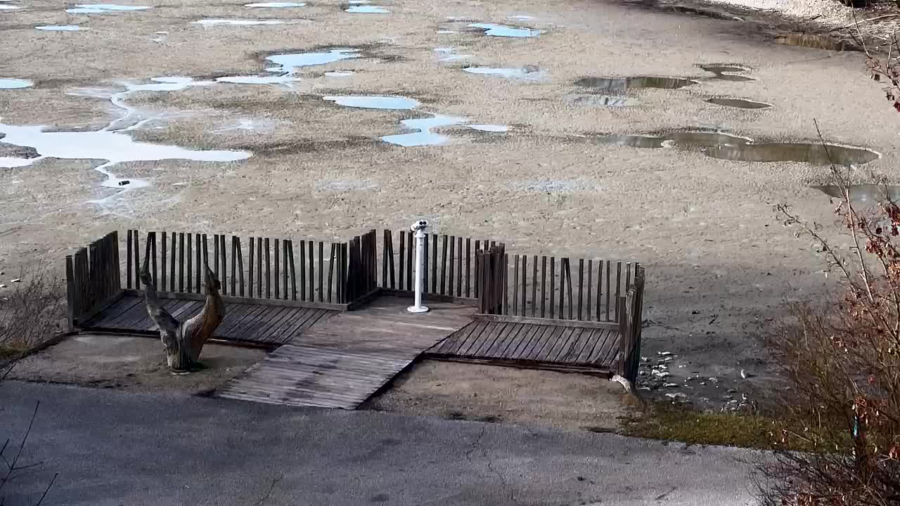 Webcam Ribnik Vrbje – Žalec