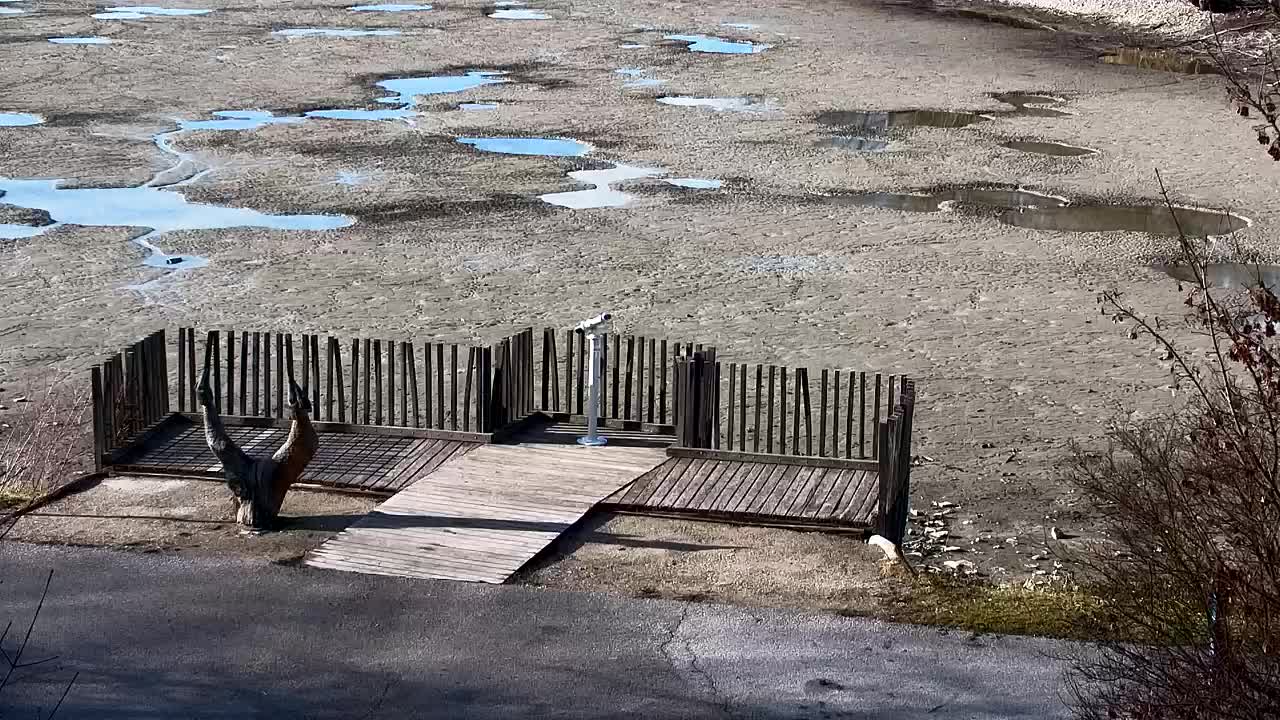 Spletna kamera Ribnik Vrbje – Žalec