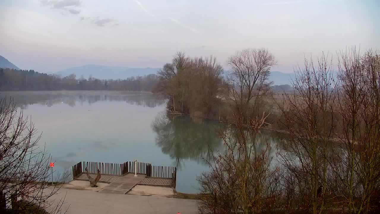 Webcam Ribnik Vrbje – Žalec