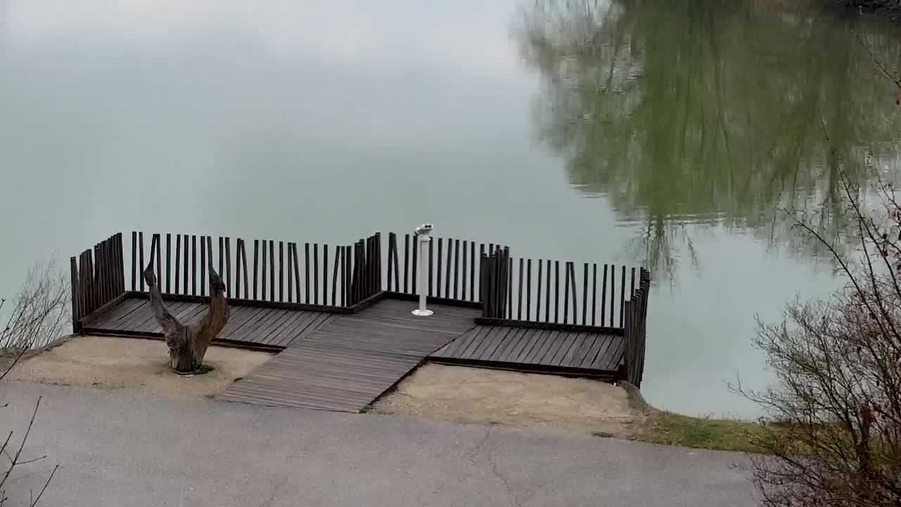 Spletna kamera Ribnik Vrbje – Žalec