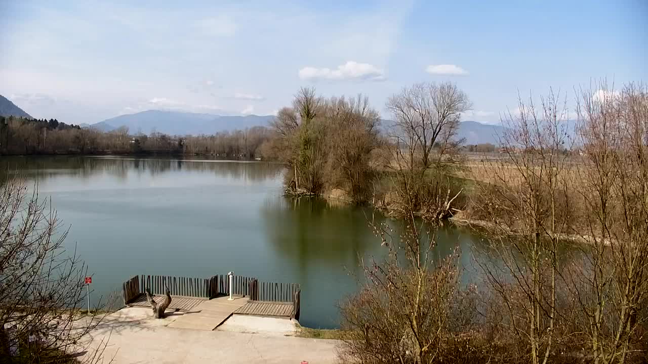 Webcam Ribnik Vrbje – Žalec