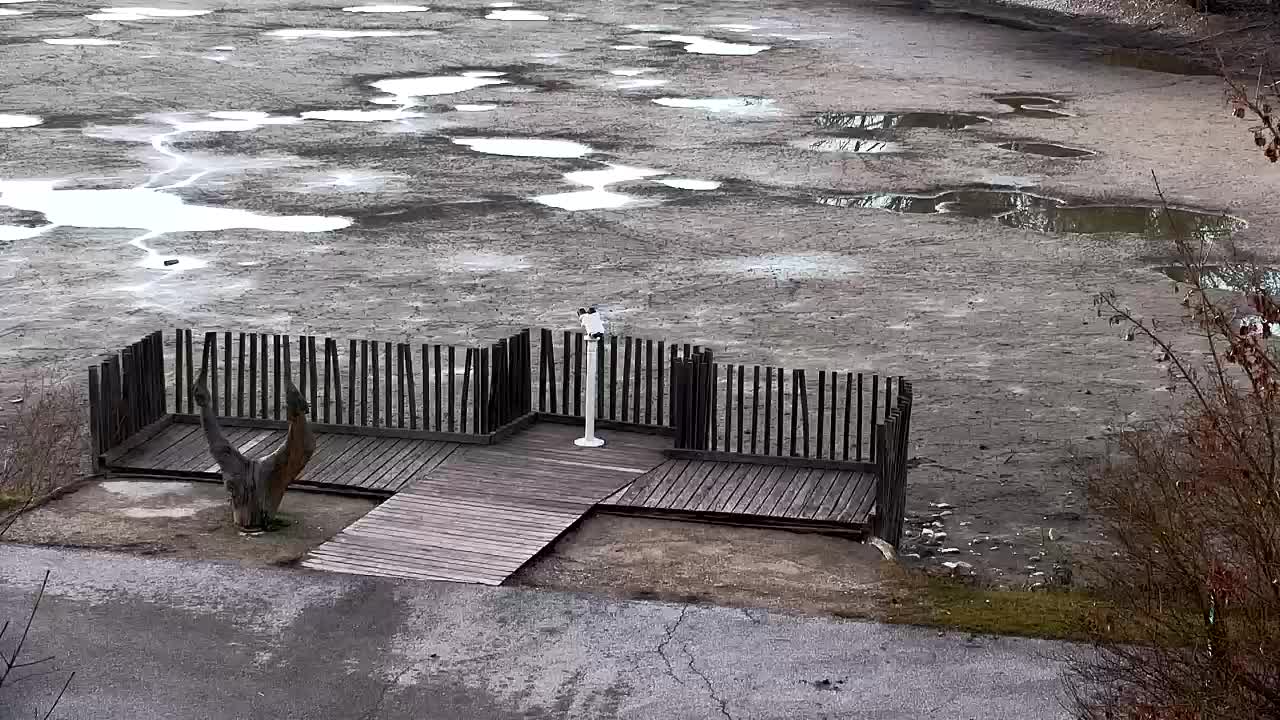 Webcam Ribnik Vrbje – Žalec