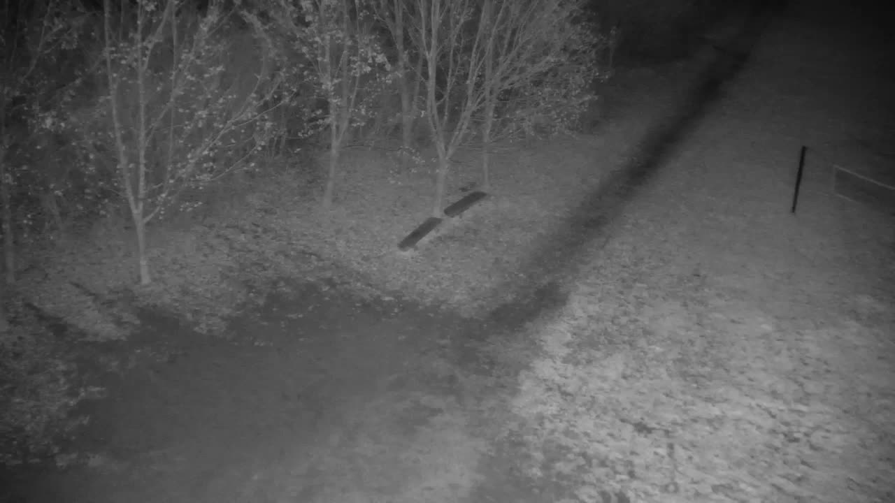 Webcam Ribnik Vrbje – Žalec