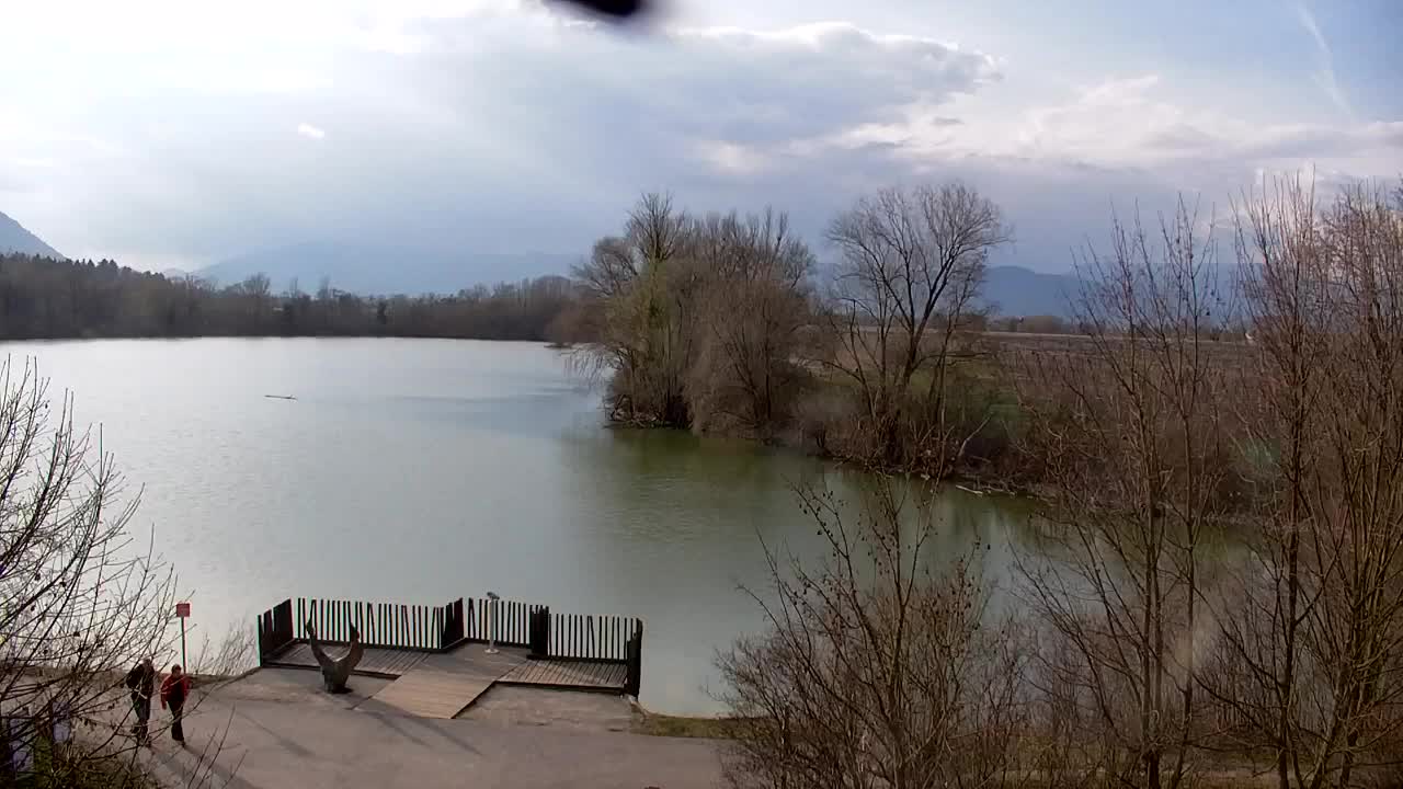 Webcam Ribnik Vrbje – Žalec