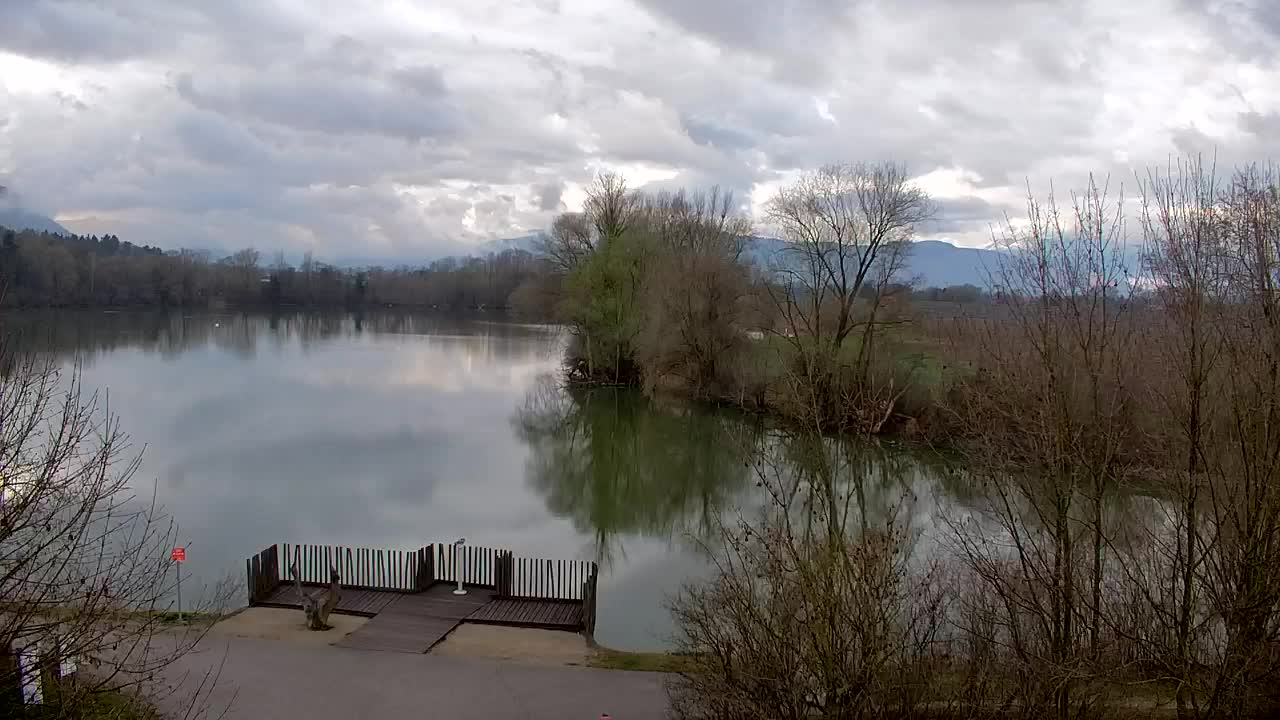 Webcam Ribnik Vrbje – Žalec