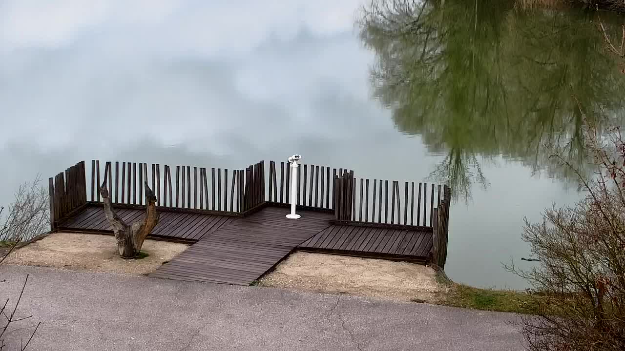 Webcam Ribnik Vrbje – Žalec