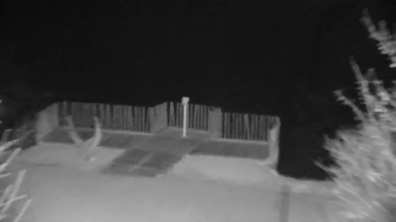 Webcam Ribnik Vrbje – Žalec