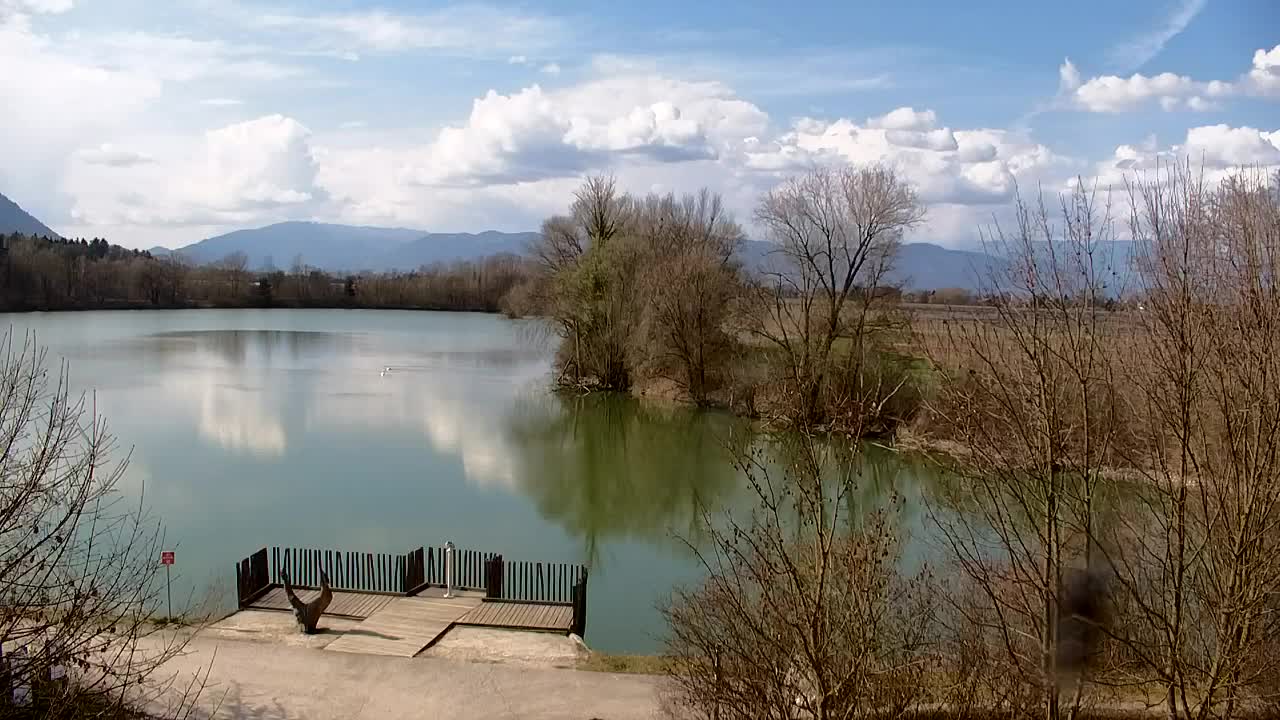 Webcam Ribnik Vrbje – Žalec