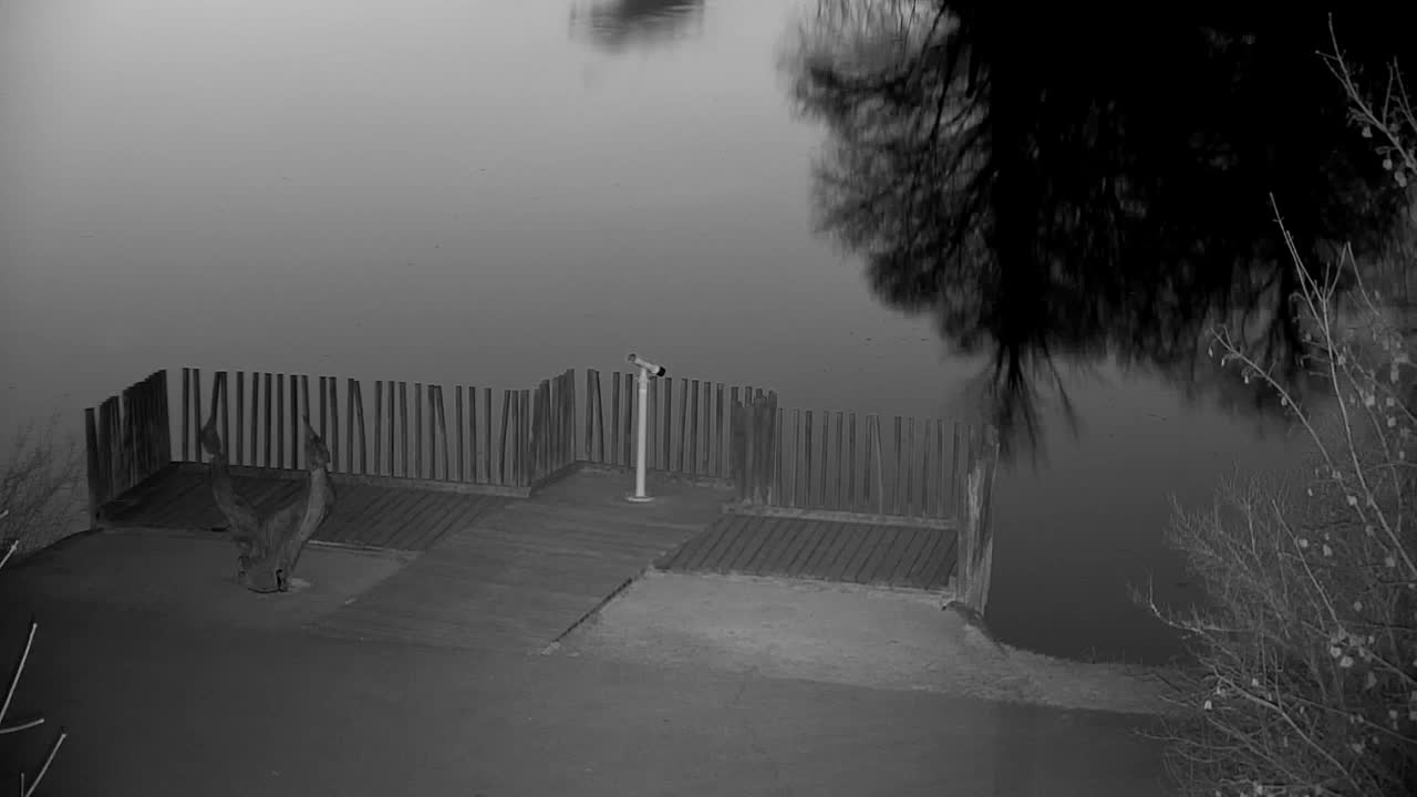 Webcam Ribnik Vrbje – Žalec