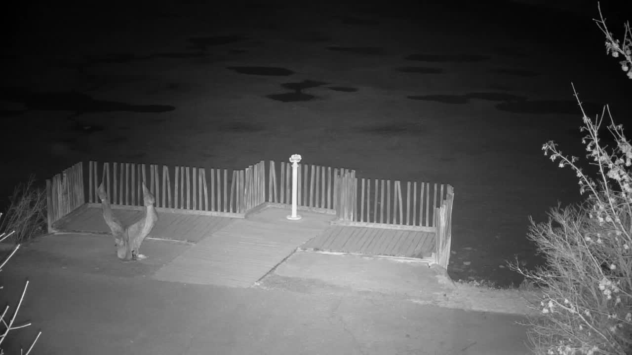 Webcam Ribnik Vrbje – Žalec