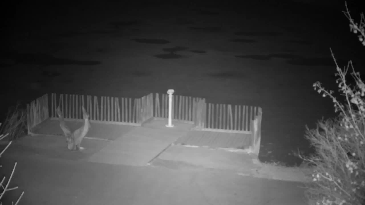 Webcam Ribnik Vrbje – Žalec