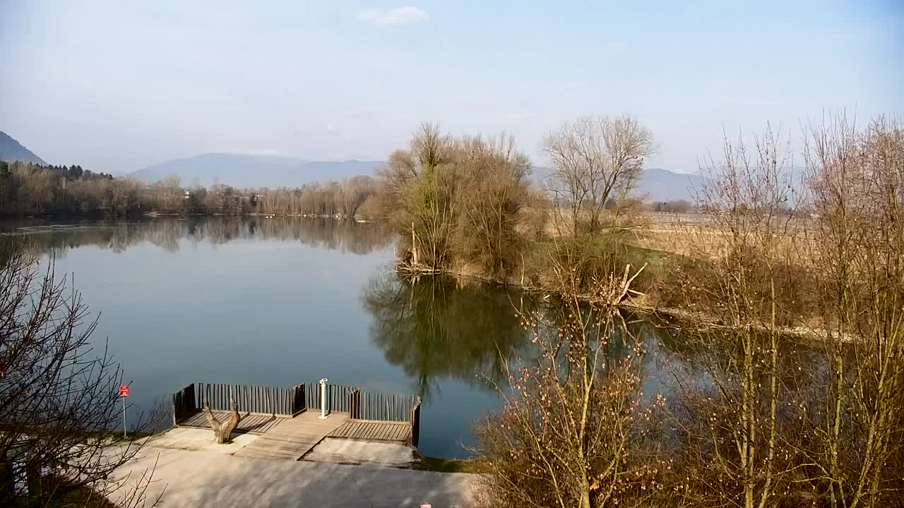 Webcam Ribnik Vrbje – Žalec