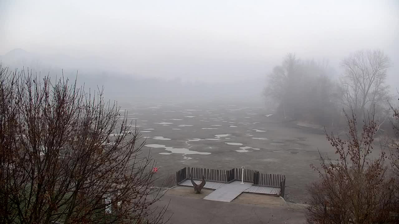 Webcam Ribnik Vrbje – Žalec