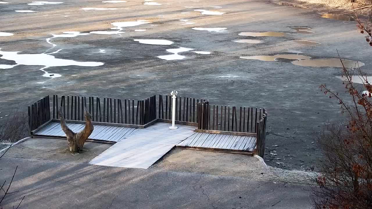 Webcam Ribnik Vrbje – Žalec