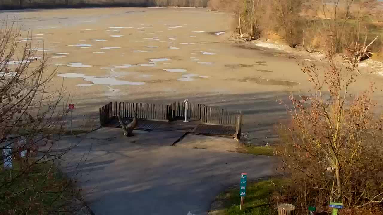 Webcam Ribnik Vrbje – Žalec