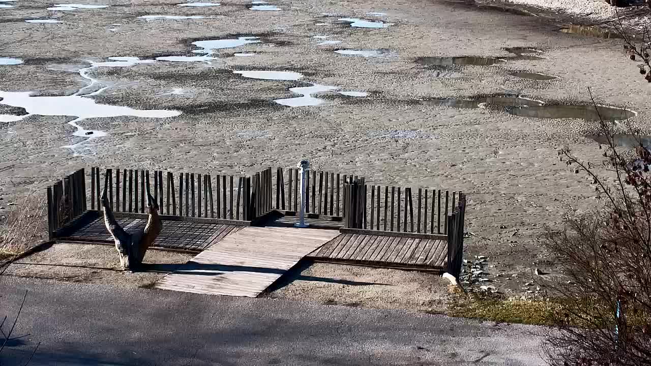 Webcam Ribnik Vrbje – Žalec