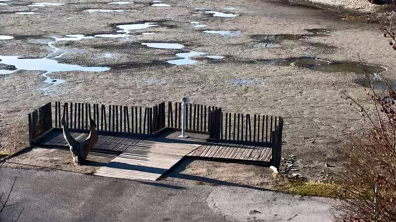 Webcam Ribnik Vrbje – Žalec