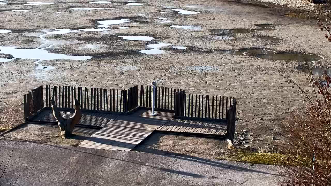 Webcam Ribnik Vrbje – Žalec