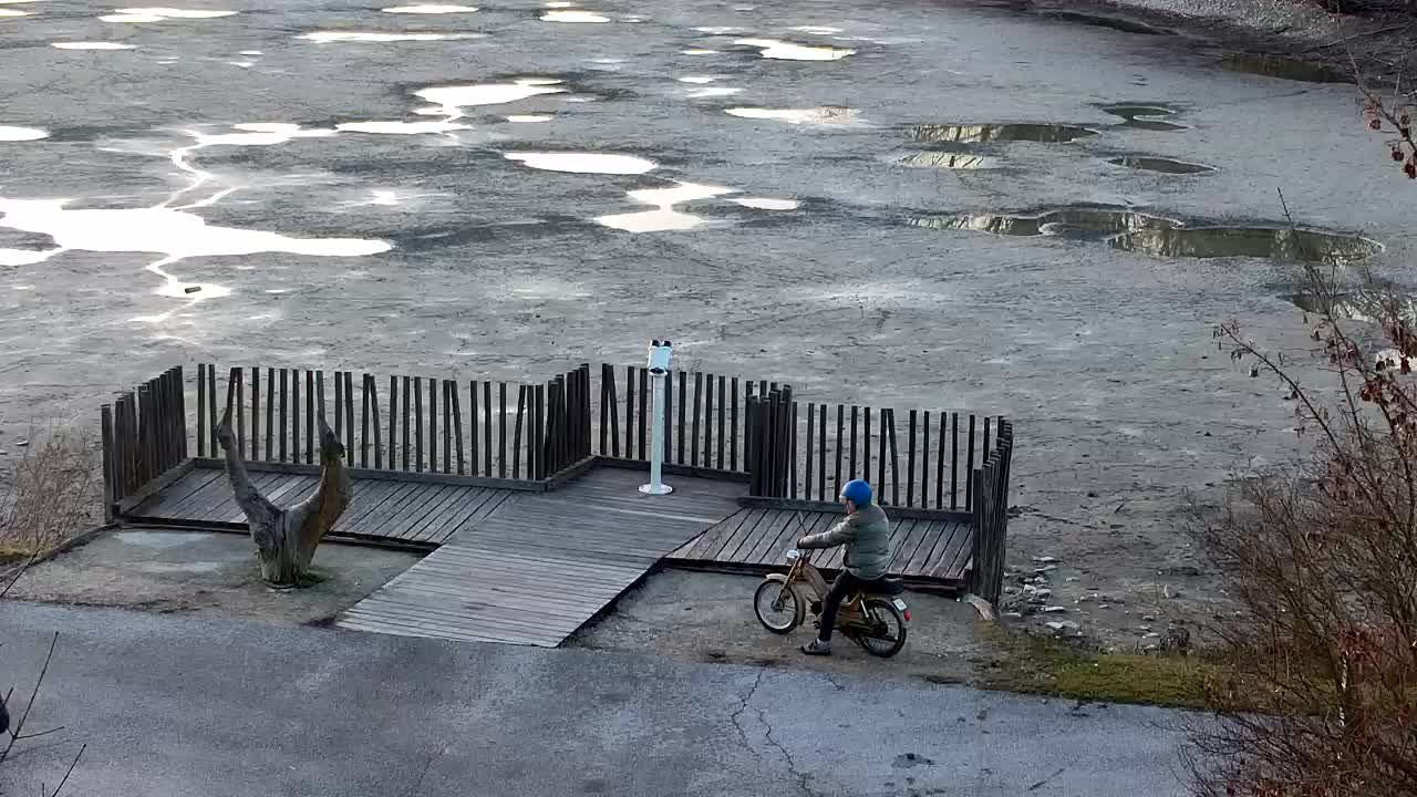 Webcam Ribnik Vrbje – Žalec