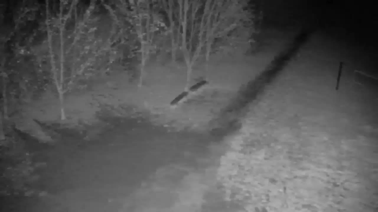 Web kamera Ribnik Vrbje – Žalec