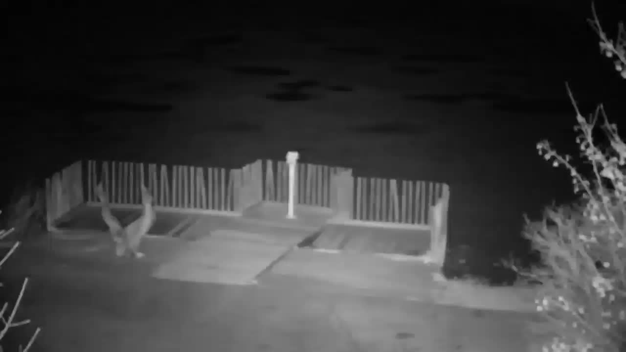 Webcam Ribnik Vrbje – Žalec