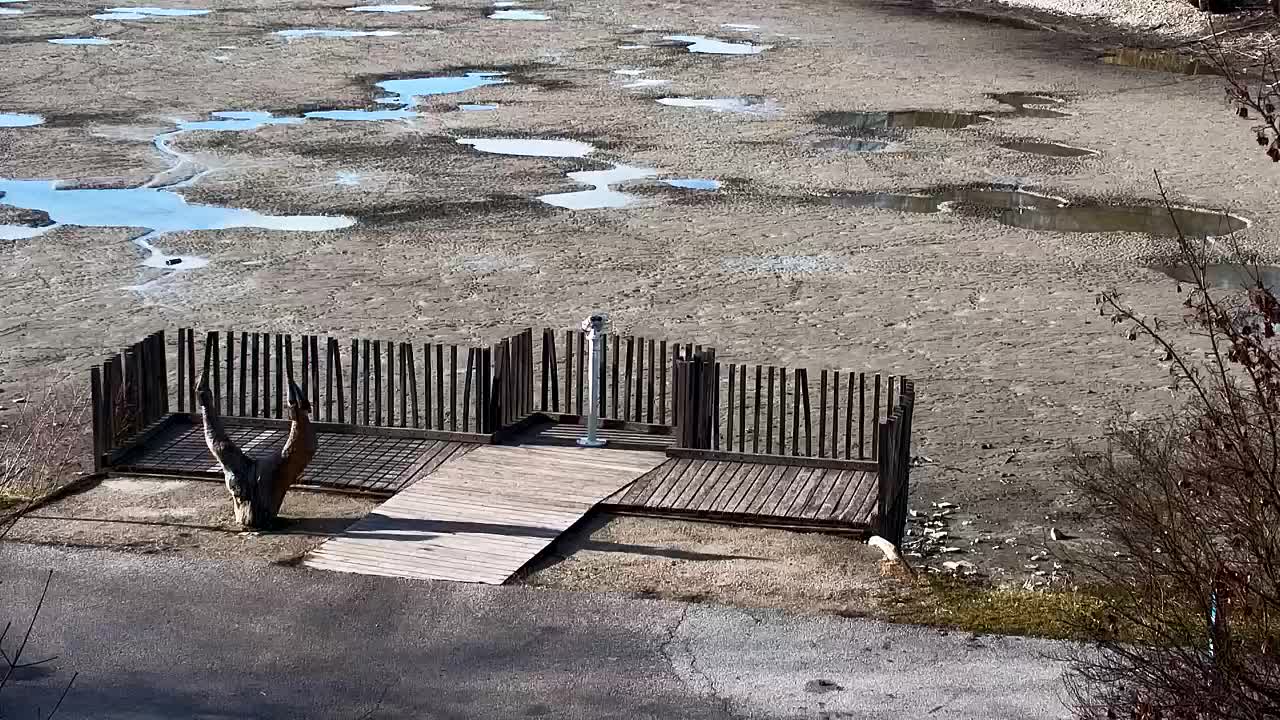 Webcam Ribnik Vrbje – Žalec