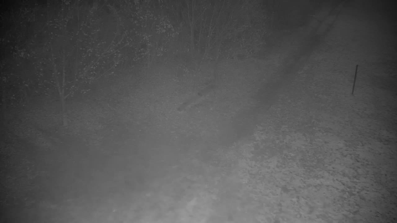 Webcam Ribnik Vrbje – Žalec