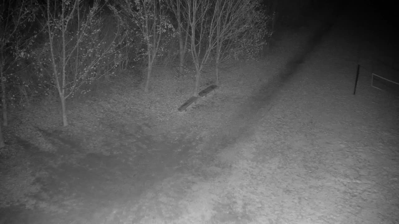 Webcam Ribnik Vrbje – Žalec