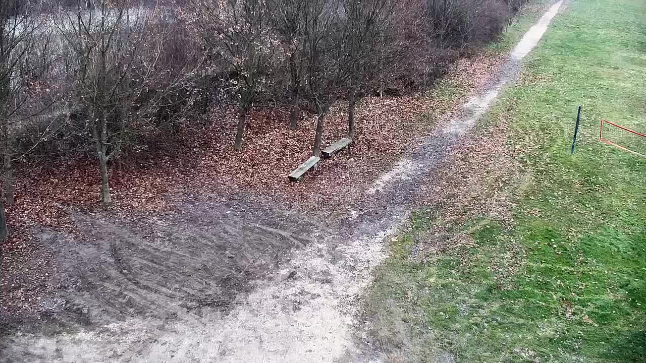 Web kamera Ribnik Vrbje – Žalec