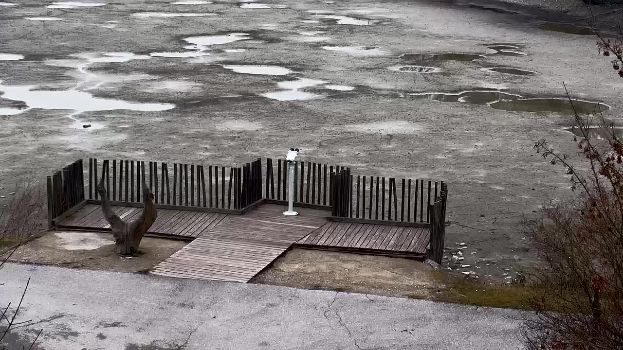 Webcam Ribnik Vrbje – Žalec