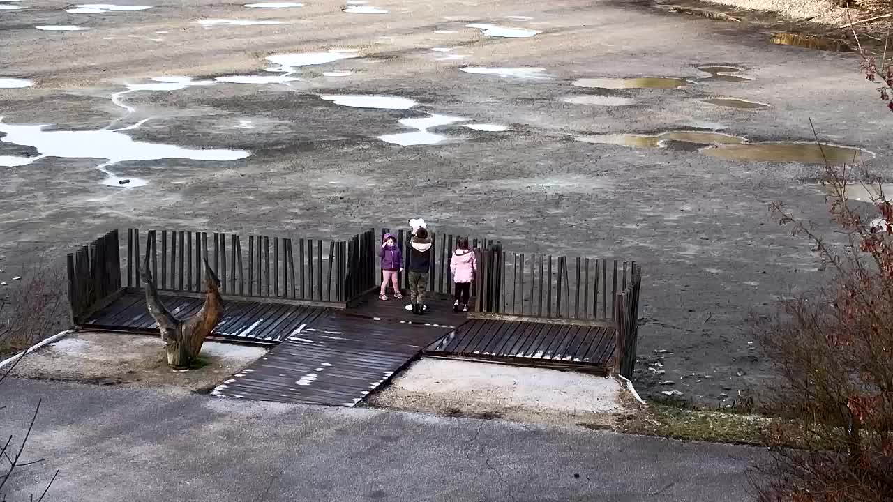 Spletna kamera Ribnik Vrbje – Žalec