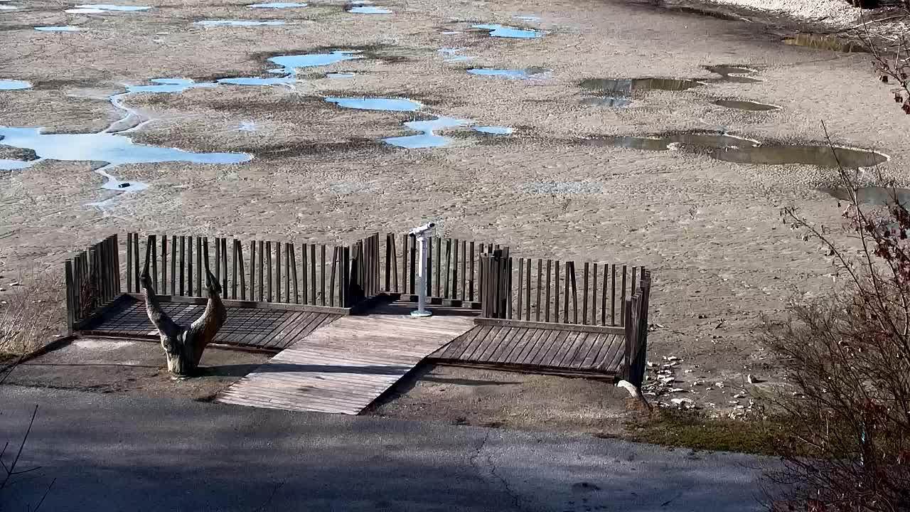 Spletna kamera Ribnik Vrbje – Žalec