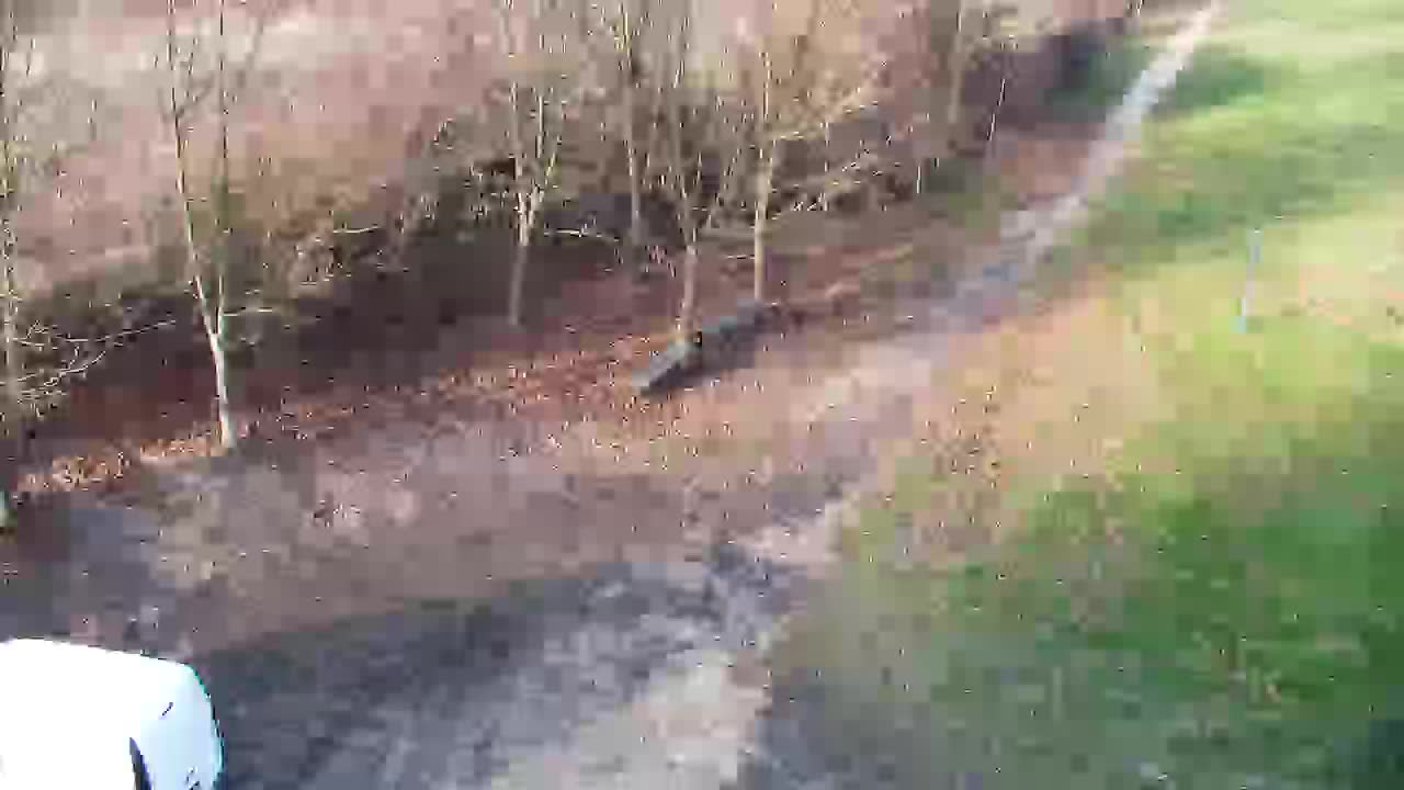 Webcam Ribnik Vrbje – Žalec