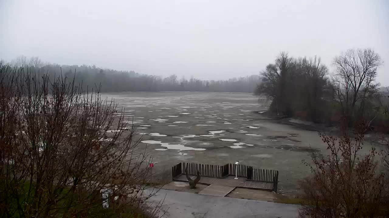 Webcam Ribnik Vrbje – Žalec