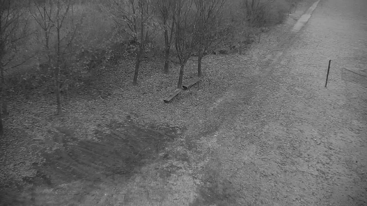 Webcam Ribnik Vrbje – Žalec