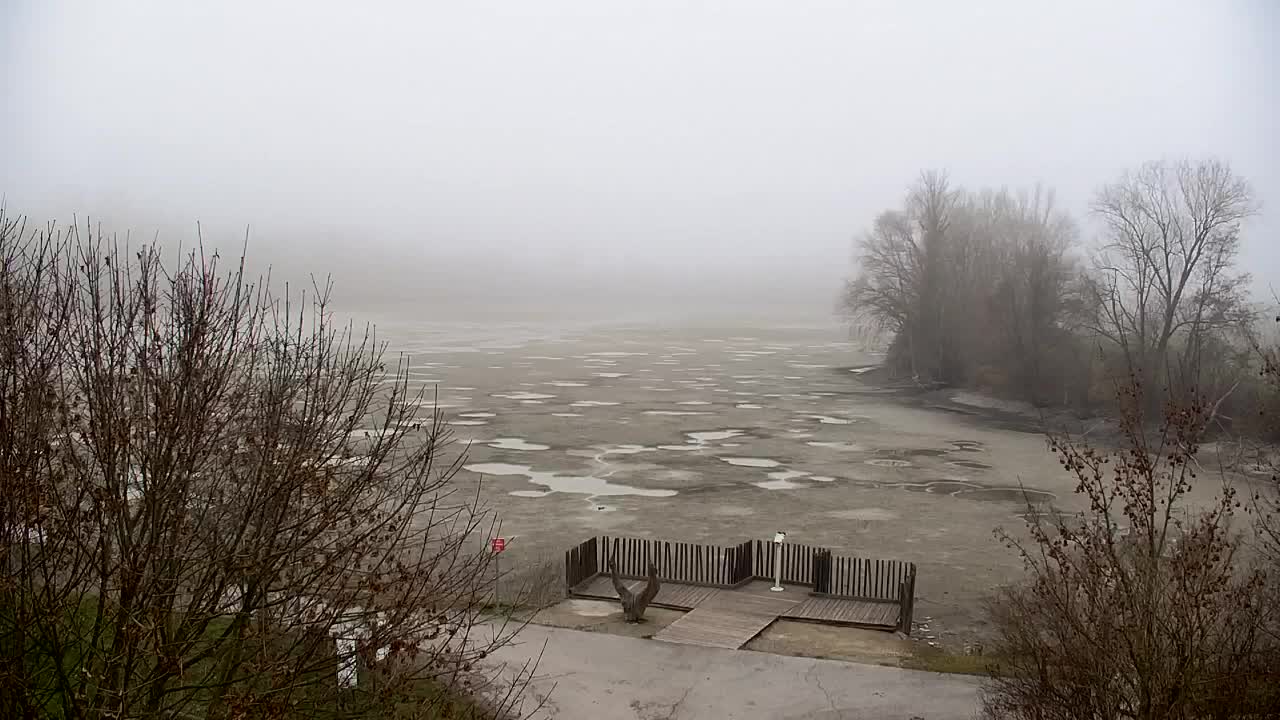 Webcam Ribnik Vrbje – Žalec