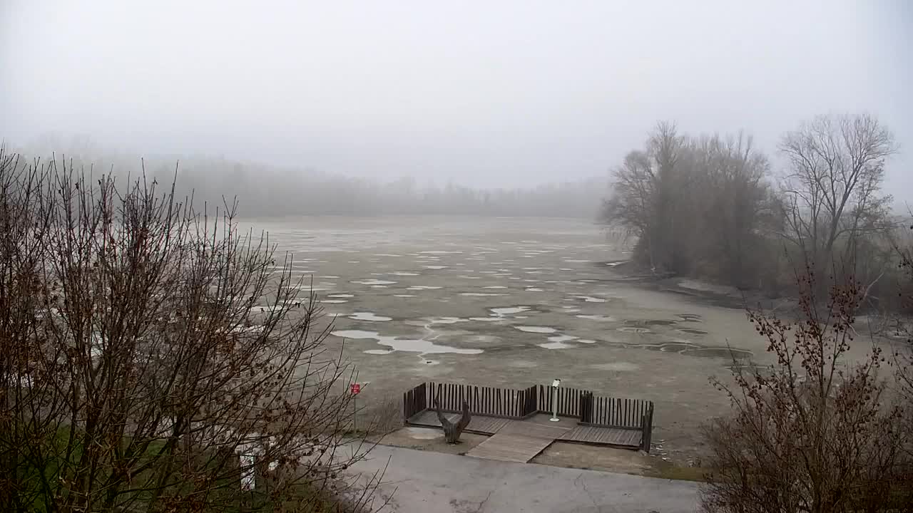 Webcam Ribnik Vrbje – Žalec