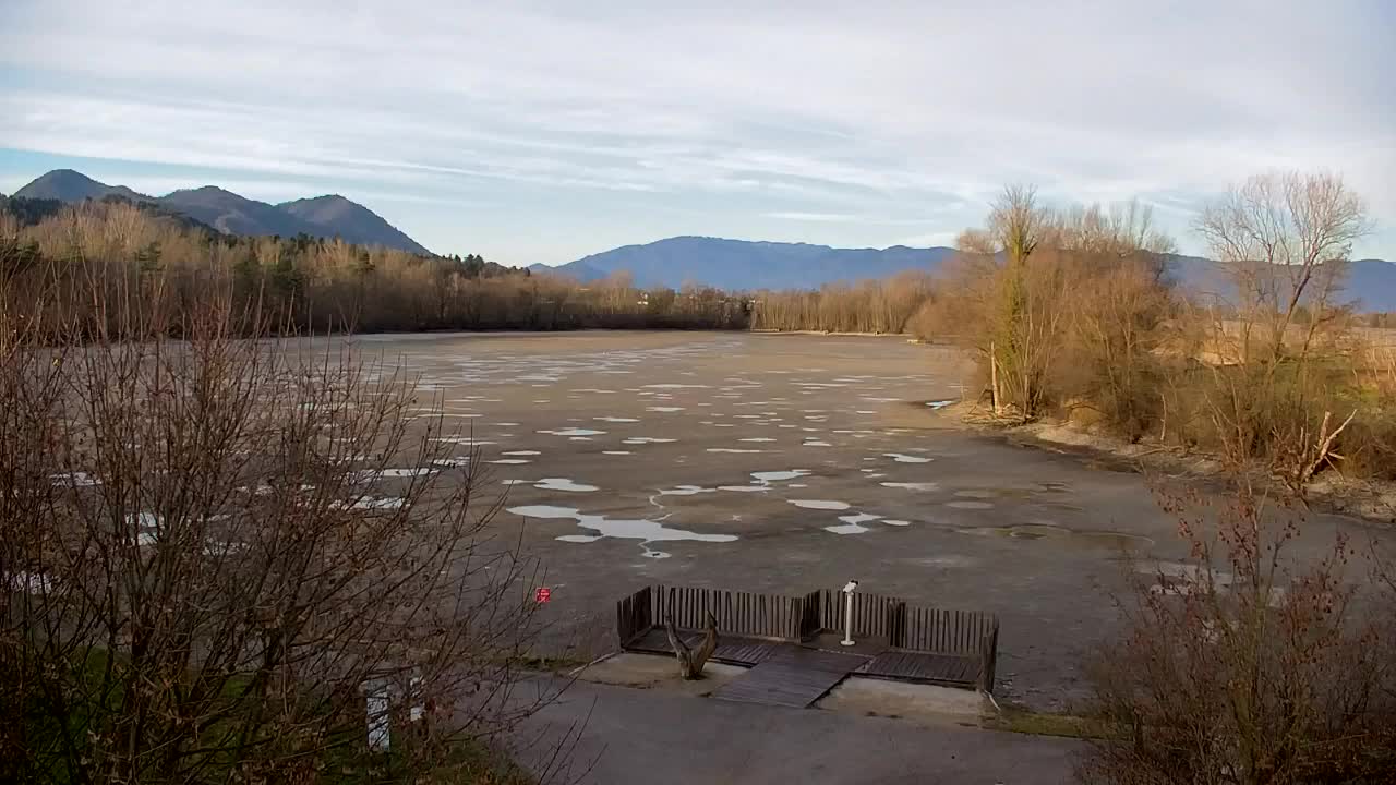 Spletna kamera Ribnik Vrbje – Žalec