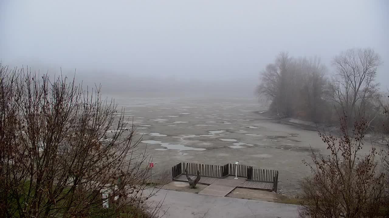 Webcam Ribnik Vrbje – Žalec