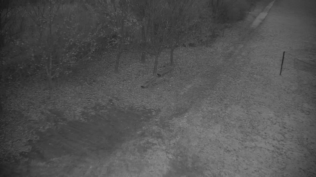 Webcam Ribnik Vrbje – Žalec