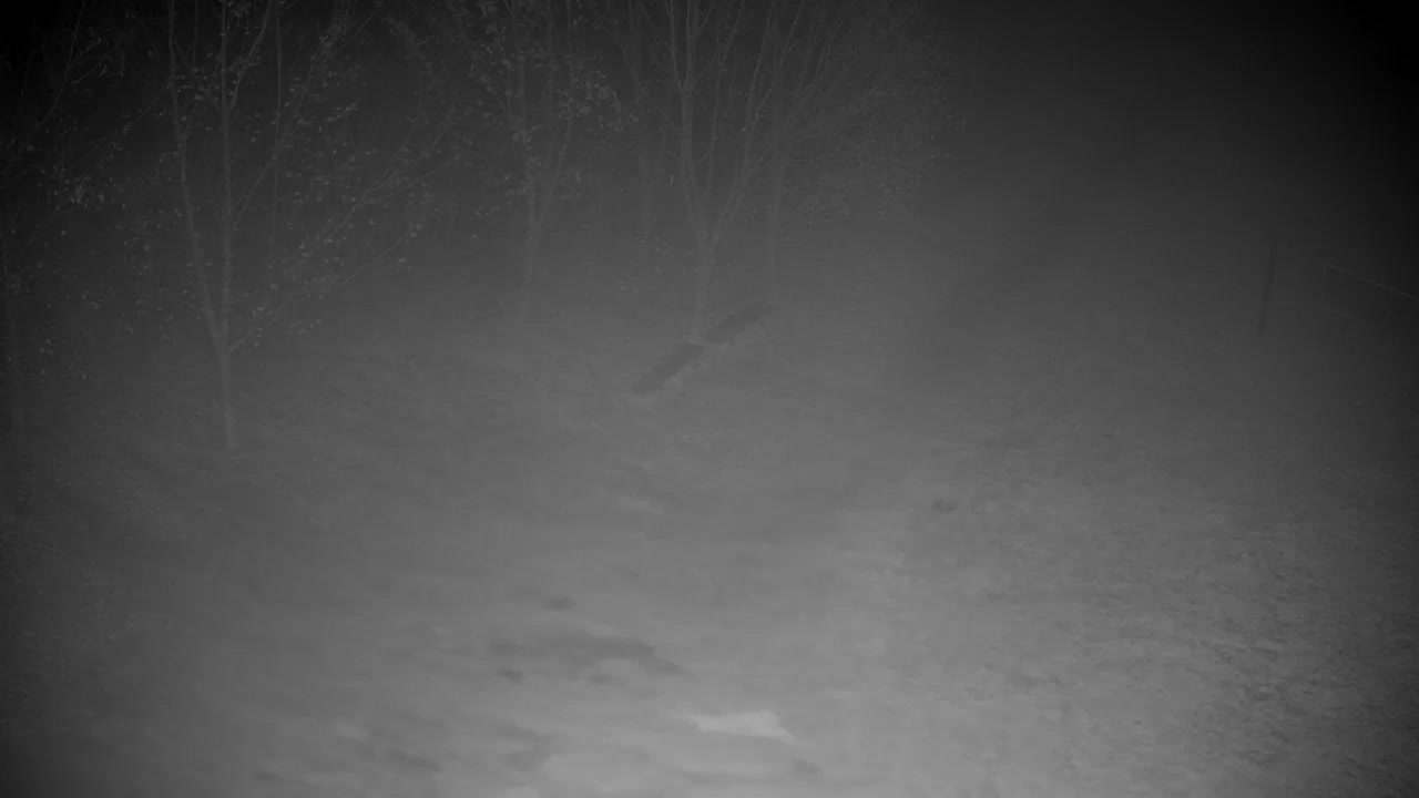 Spletna kamera Ribnik Vrbje – Žalec