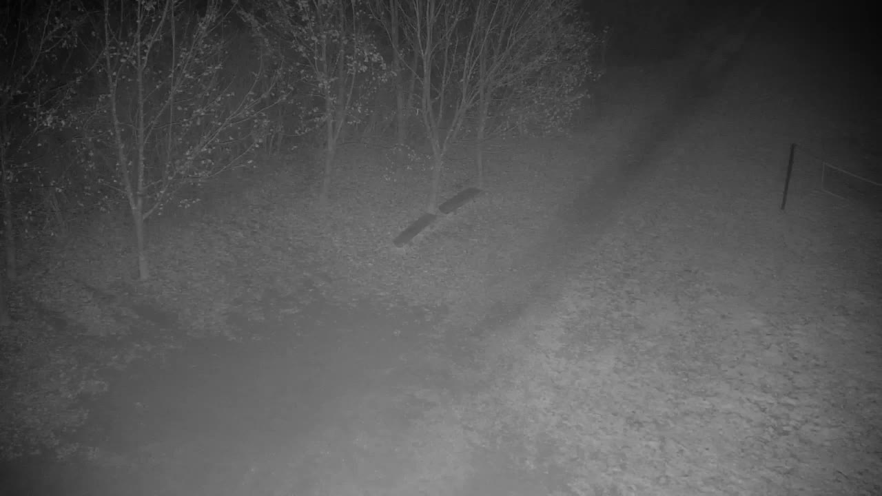 Webcam Ribnik Vrbje – Žalec