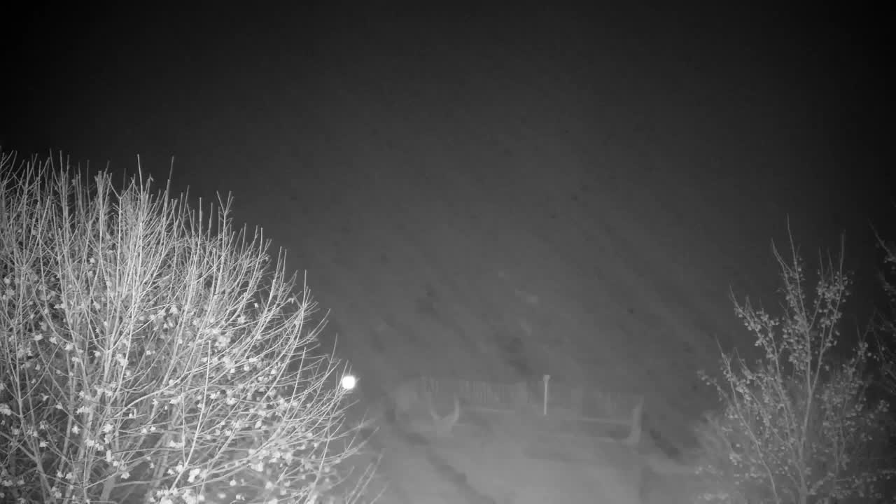 Webcam Ribnik Vrbje – Žalec