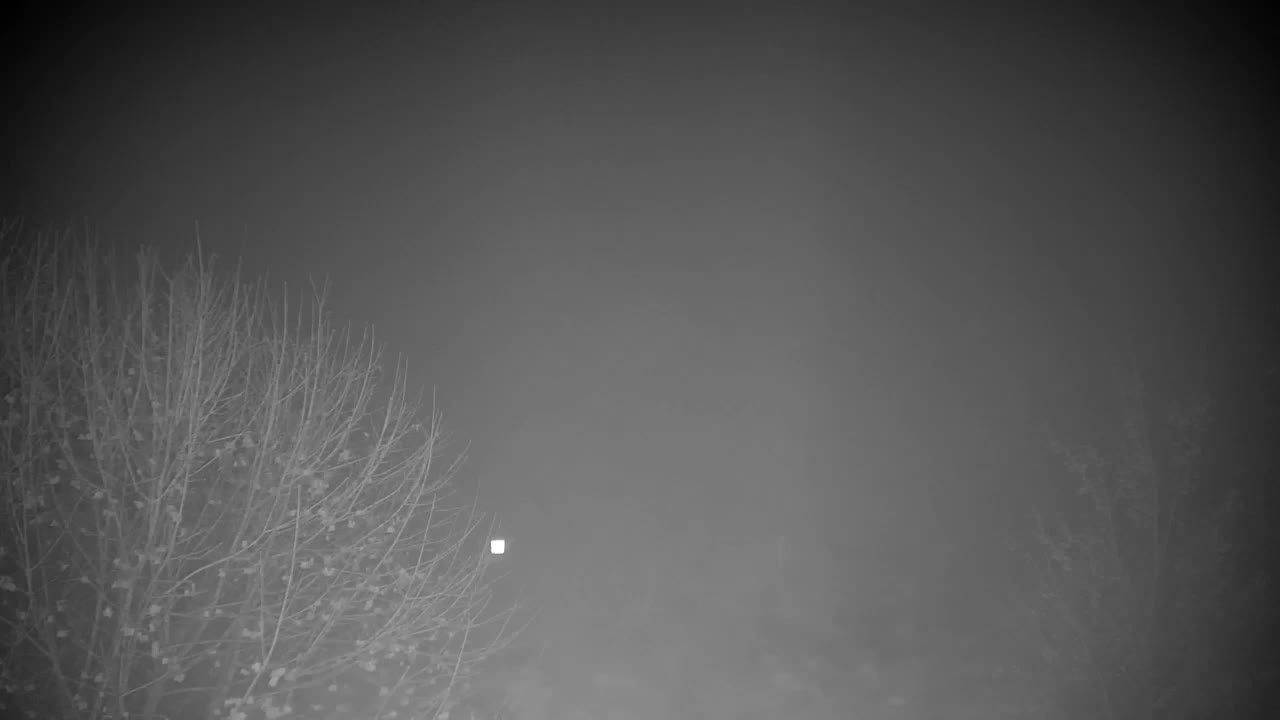 Webcam Ribnik Vrbje – Žalec