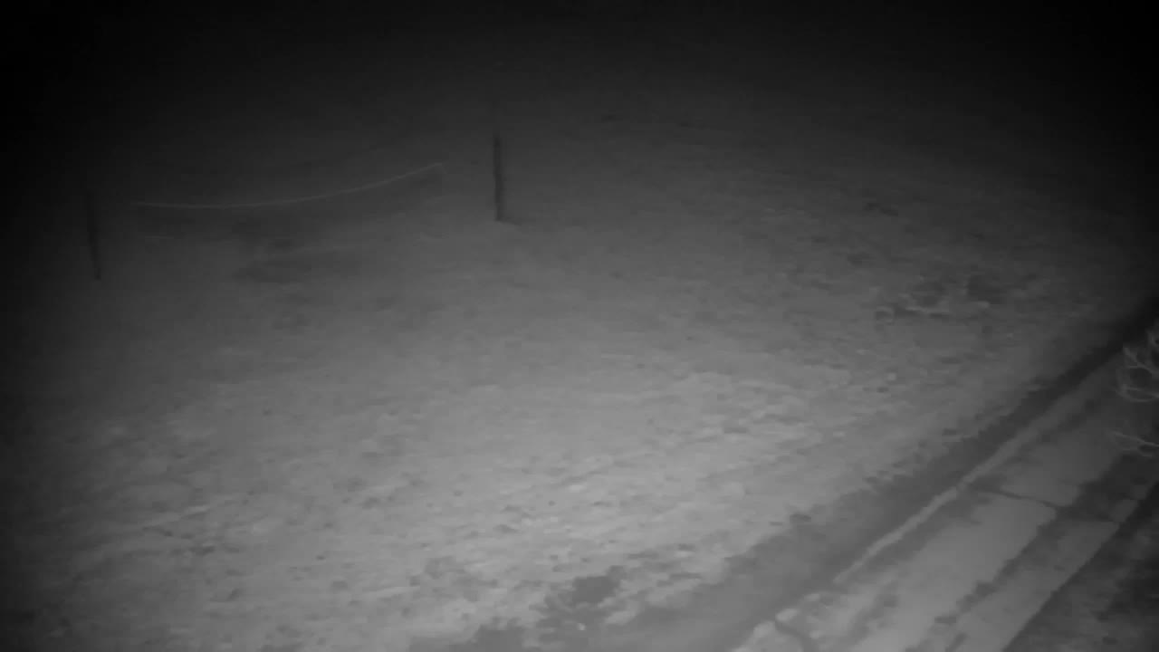 Webcam Ribnik Vrbje – Žalec