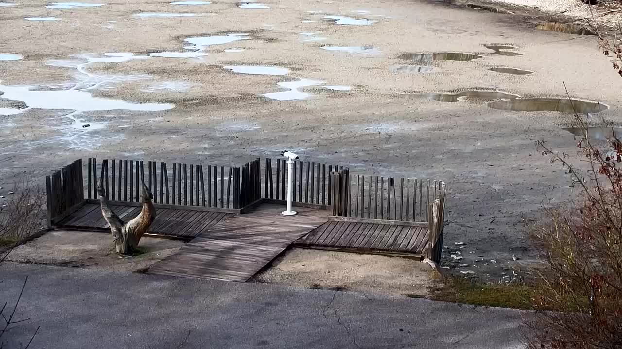 Spletna kamera Ribnik Vrbje – Žalec