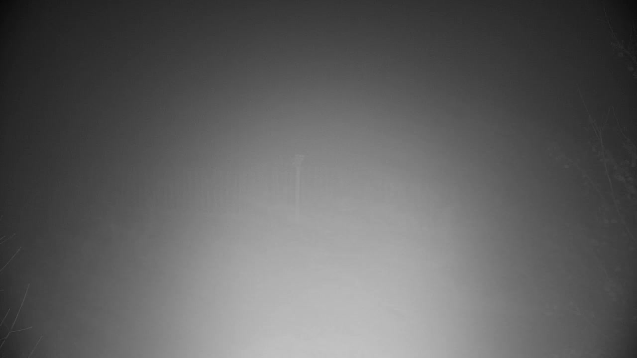 Spletna kamera Ribnik Vrbje – Žalec