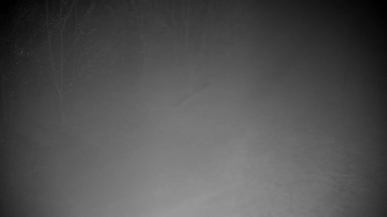 Web kamera Ribnik Vrbje – Žalec