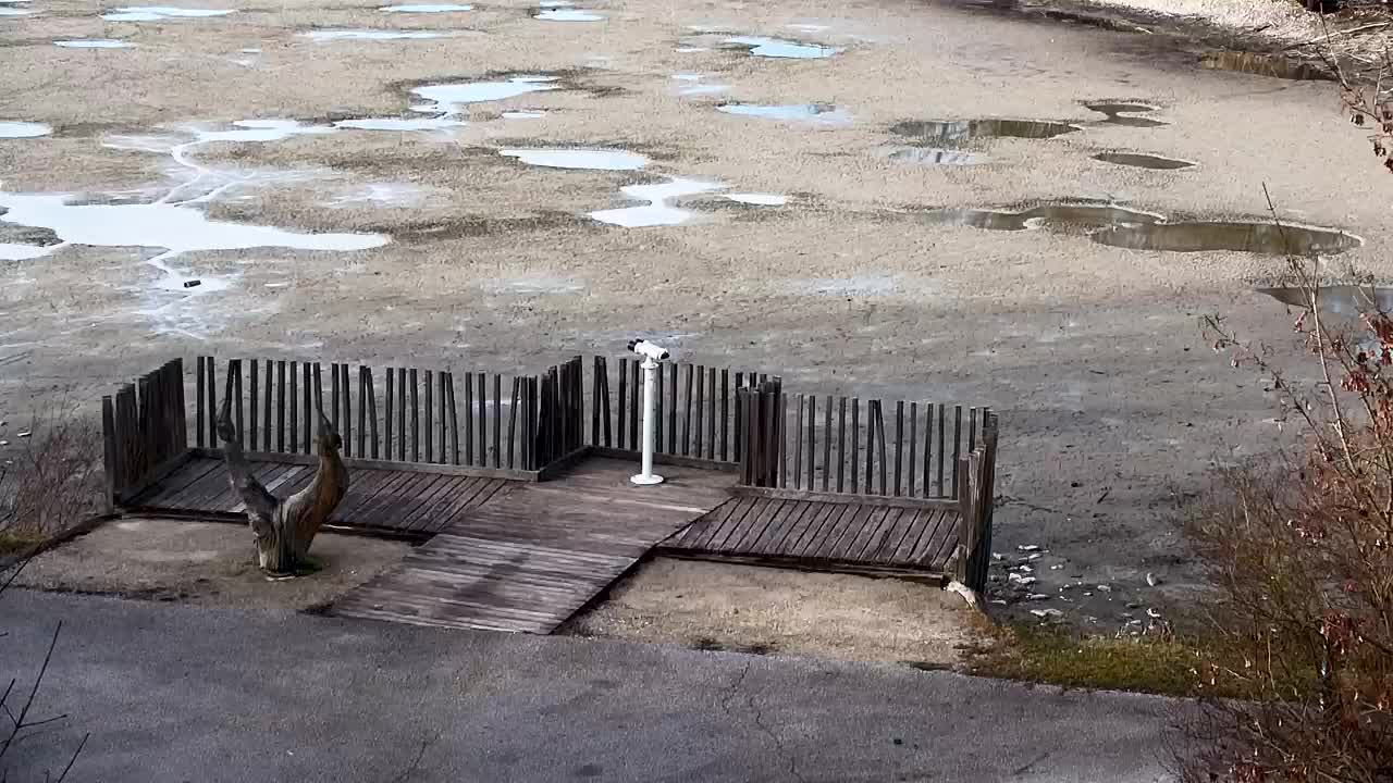 Webcam Ribnik Vrbje – Žalec